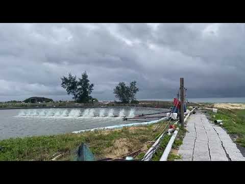 CANCO – ĐI CÙNG NGƯỜI NUÔI TẠI BÌNH ĐỊNH