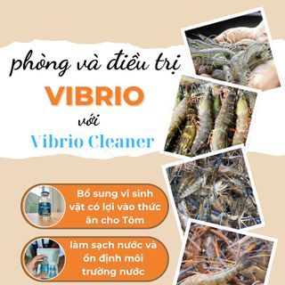 52cf5470-f80c-11ef-8385-f5a9200583d6