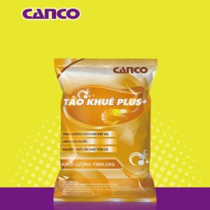 tảo khuê Plus+