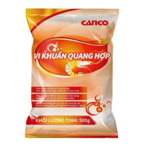 vi khuẩn quang hợp