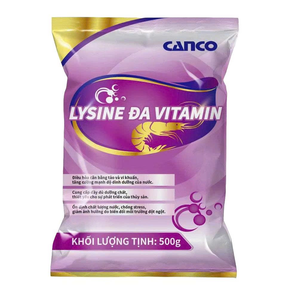 Lysine đa Vitamin 1 vitamin