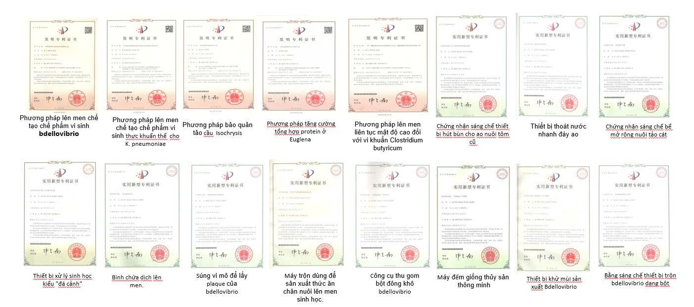 Tổng quan 12 z7261363698188 7dddff51c0da778cdadd81aabe4445fc