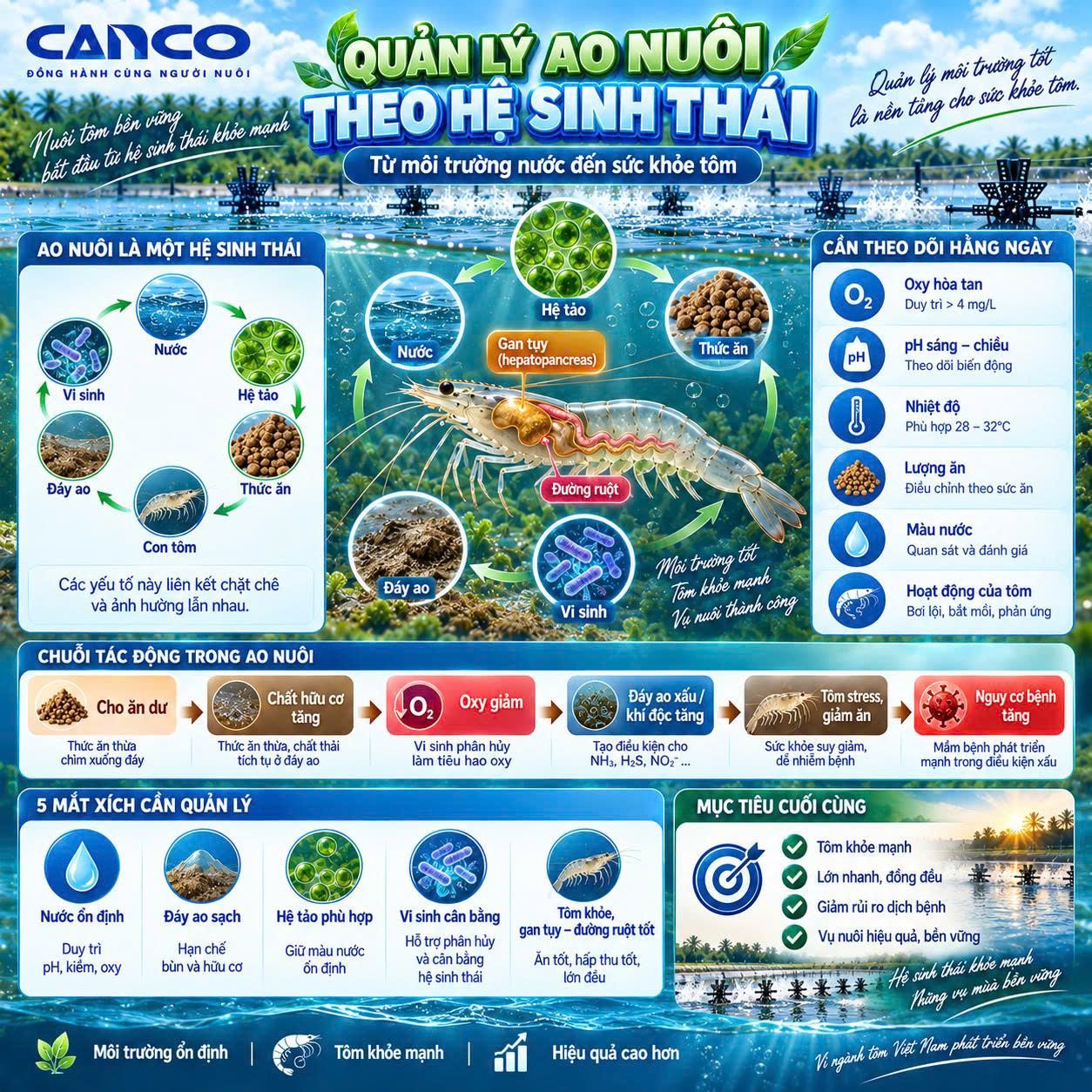 Quản lý ao nuôi tôm theo hệ sinh thái