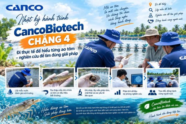 Nhật ký hành trình CANCO Chặng 4 lấy mẫu và nghiên cứu ao tôm