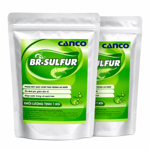 BR-Sulfur vi sinh cải tạo đáy ao
