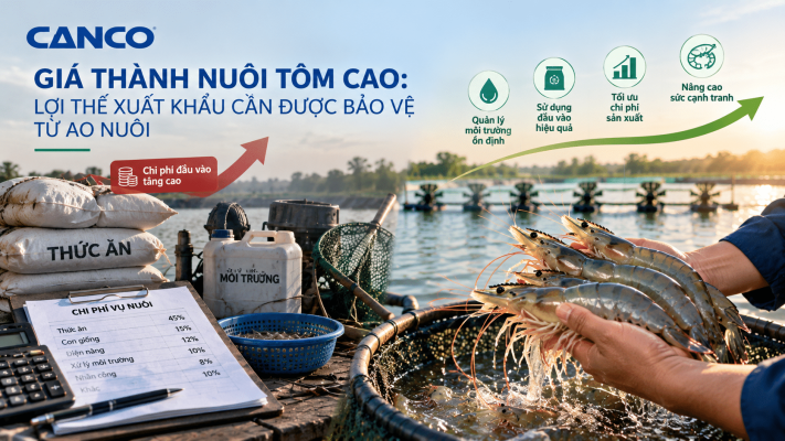 Giá thành nuôi tôm cao và giải pháp quản lý ao nuôi nhằm nâng cao hiệu quả sản xuất