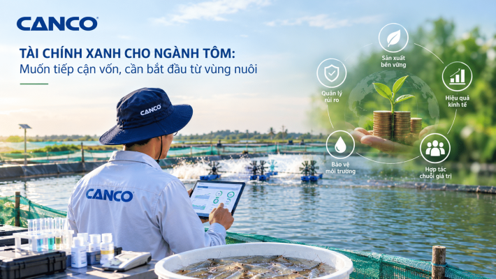 Tài chính xanh ngành tôm – CANCO đồng hành quản lý vùng nuôi và hướng đến phát triển bền vững